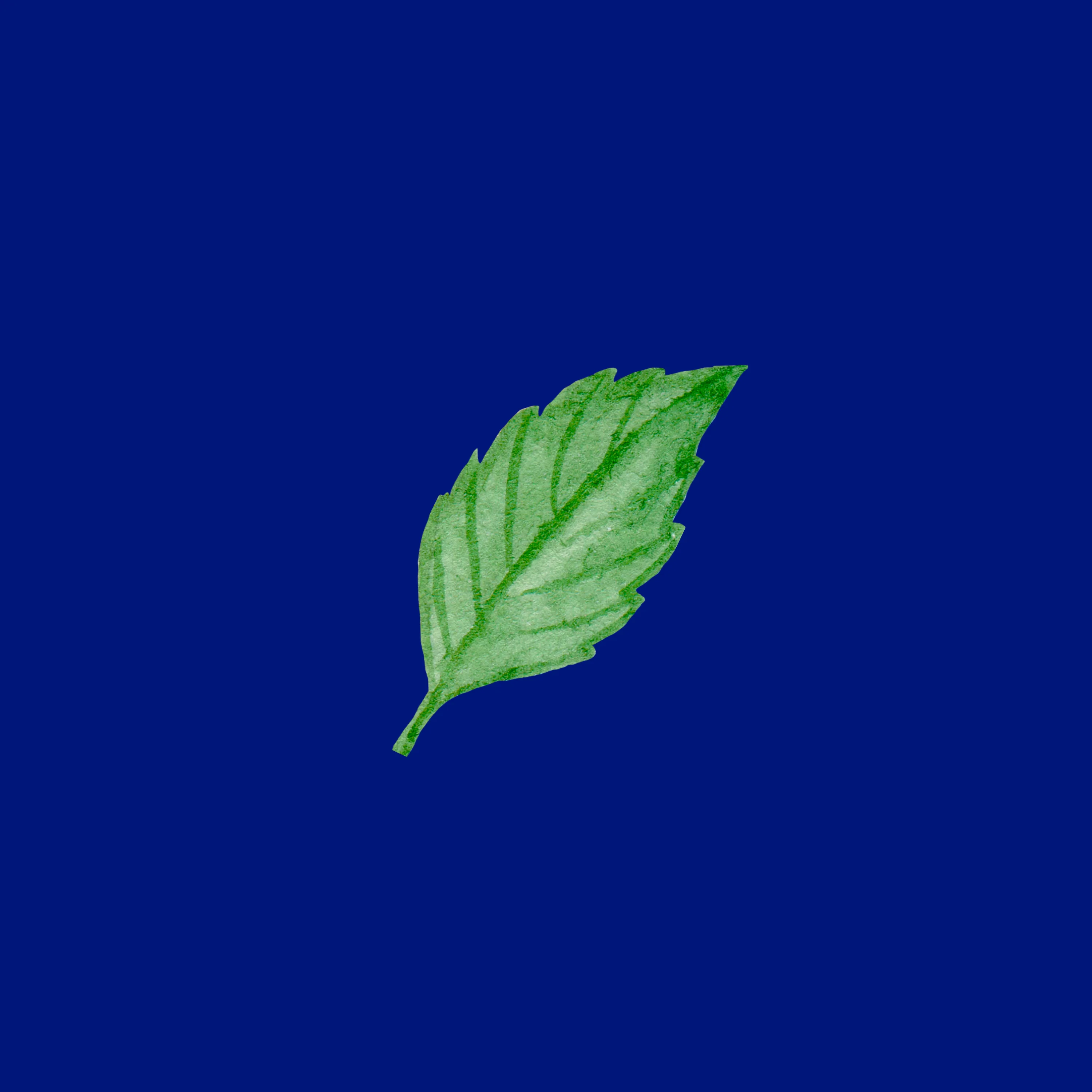 Cabala de Odu
